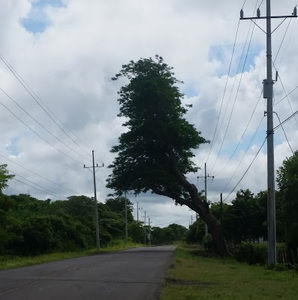 Meet your Posher, Vito